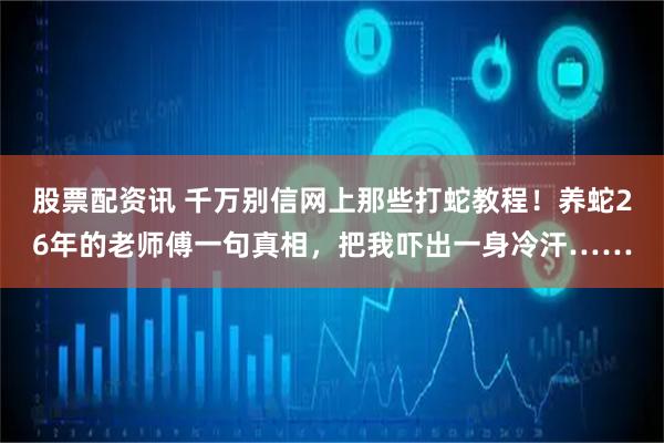 股票配资讯 千万别信网上那些打蛇教程！养蛇26年的老师傅一句真相，把我吓出一身冷汗……