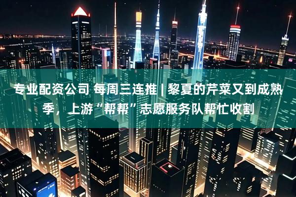 专业配资公司 每周三连推 | 黎夏的芹菜又到成熟季，上游“帮帮”志愿服务队帮忙收割